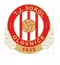 Sokol Olovnice